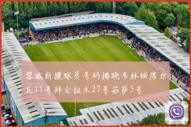 蓉城新援球员号码揭晓韦林顿席尔瓦11号拜合拉木27号茹萨5号